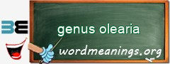 WordMeaning blackboard for genus olearia